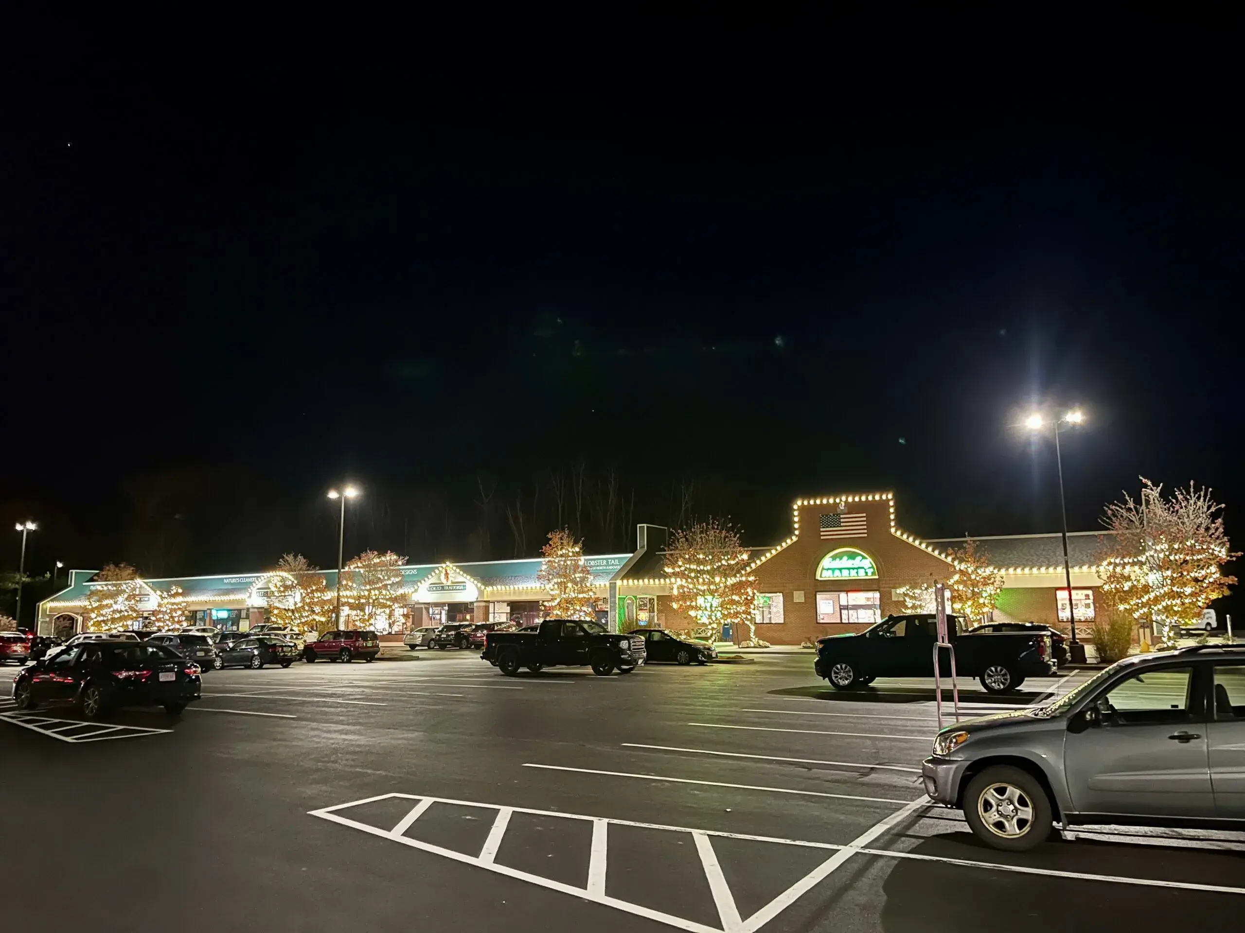 Commercial property holiday light installation